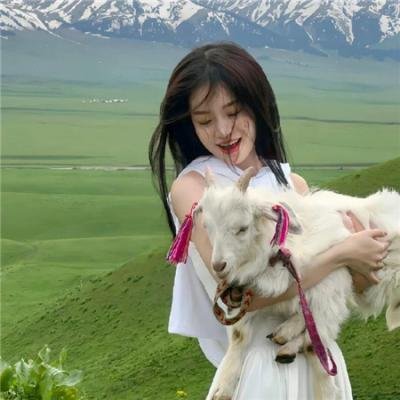 约翰老鼠