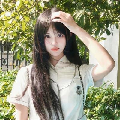 玫瑰
